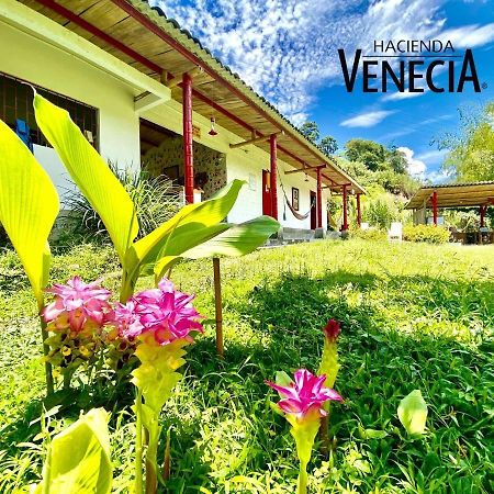 Hacienda Venecia Hostel Manizales Buitenkant foto