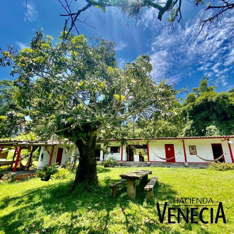 Hacienda Venecia Hostel Manizales Buitenkant foto